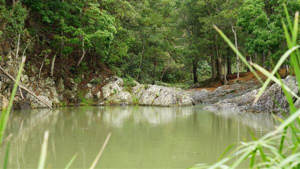 Currumbin Rock Pools (8/07/2019)