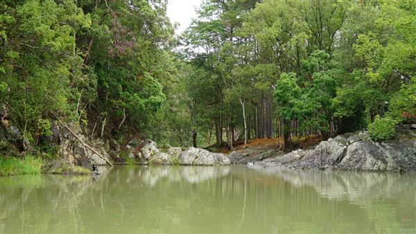 Currumbin Rock Pools (8/07/2019)