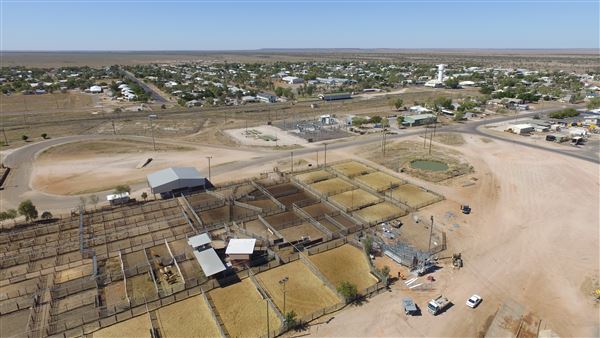 Winton Sale Yards (13/12/2022 - Credits: Winton Shire Council)