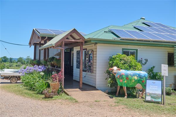 Mungalli Creek Bio-Dynamic Dairy (4/02/2023 - Credits: John de Rooy, Atherton Tableland Photography)