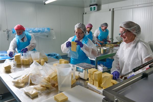 Mungalli Creek Bio-Dynamic Dairy (4/02/2023 - Credits: John de Rooy, Atherton Tableland Photography)