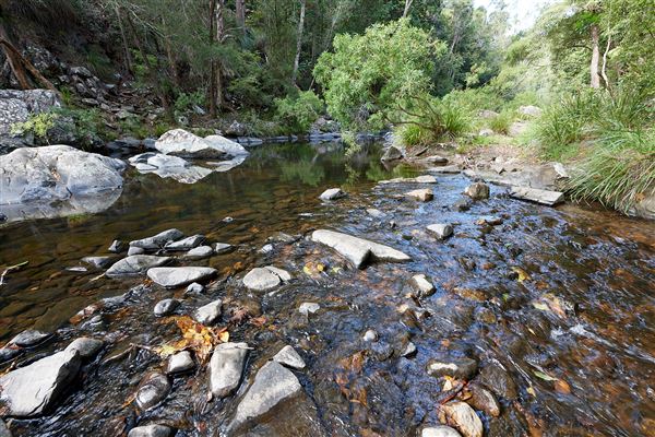Windin Falls (5/09/2022 - Credits: John de Rooy, Atherton Tableland Photography)