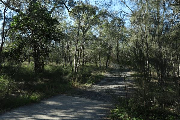 Epapah Creek - Karl's Pier track (8/05/2023 - Credits: Screen Queensland)