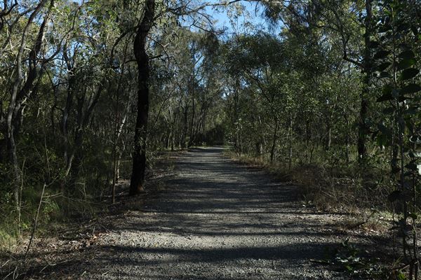 Epapah Creek - Karl's Pier track (8/05/2023 - Credits: Screen Queensland)