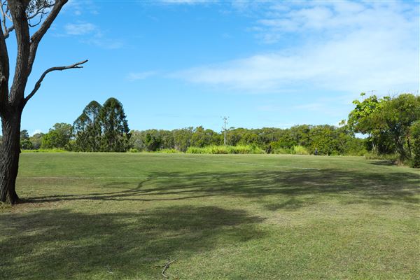 Curlew Park - Cabbage Tree Creek (11/05/2023 - Credits: Screen Queensland)