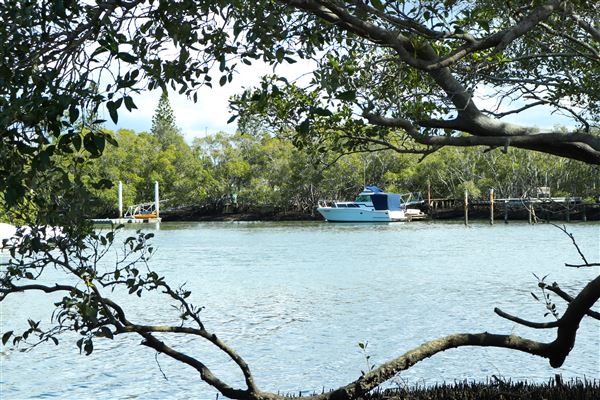 Curlew Park - Cabbage Tree Creek (11/05/2023 - Credits: Screen Queensland)