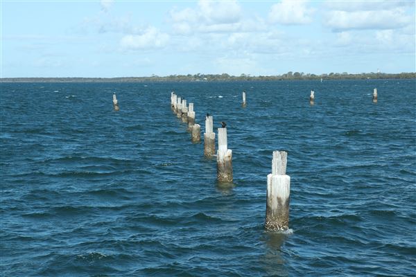 Shorncliffe Pier (11/05/2023 - Credits: Screen Queensland)