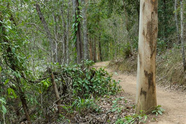 Enoggera Reservoir (12/05/2023 - Credits: Screen Queensland)