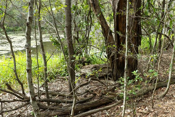 Enoggera Reservoir (12/05/2023 - Credits: Screen Queensland)