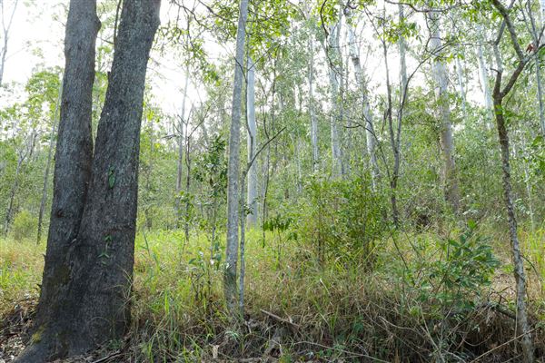 Enoggera Reservoir (12/05/2023 - Credits: Screen Queensland)