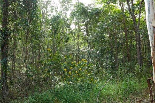 Enoggera Reservoir (12/05/2023 - Credits: Screen Queensland)