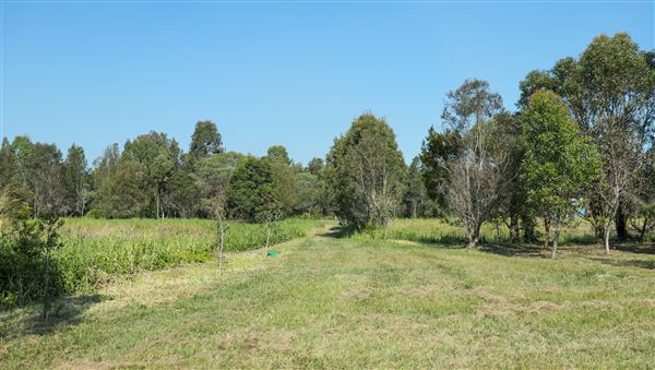 118 Green Camp Rd (31/05/2023 - Credits: Screen Queensland)