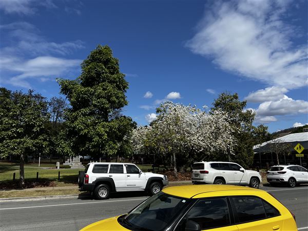 Canungra (11/09/2023 - Credits: Tony Clarke)