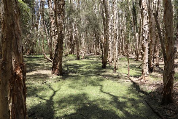 Gold Coast - Coombabah Lakelands (16/11/2022 - Credits: Duncan Jones)