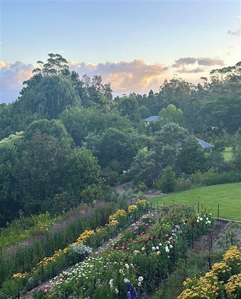 Tamborine Mountain Flower Farm (3/12/2025 - Credits: submitted by: Luke Scaddan)
