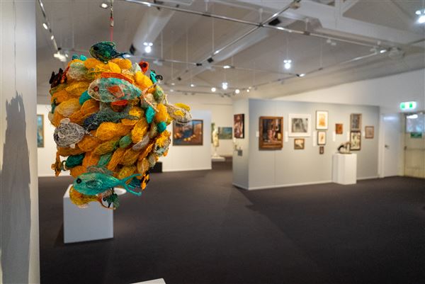 Gladstone Regional Art Gallery and Museum (1/11/2025 - Credits: Gladstone Regional Council)