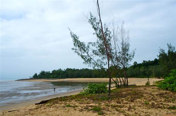 Cairns Region - Bramston Beach (24/07/2012)