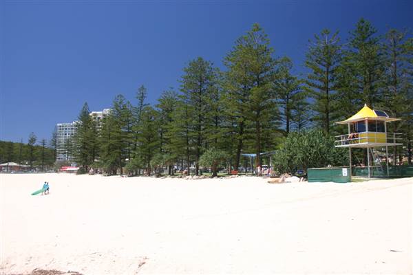 Burleigh Heads - Beach & Surf Club area (24/11/2008)