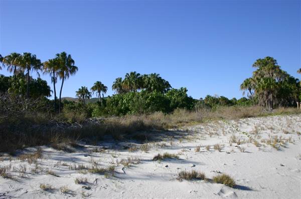 North Keppel Island -  Ko-no-mie - Considine Beach (18/09/2006)