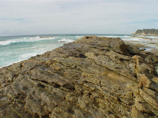Frenchman's Bay (North Stradbroke Island) (17/01/2008)
