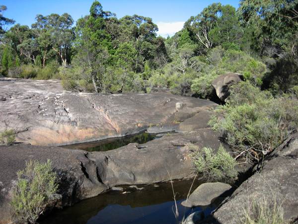 Warwick Region - Girraween National Park (25/09/2006)