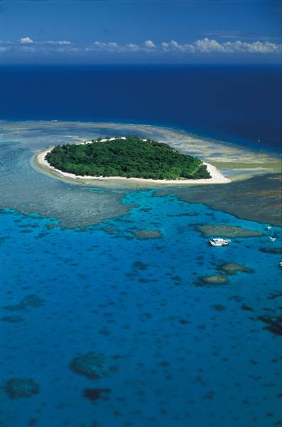 Great Barrier Reef - Lady Musgrave Island - Wallaginji (10/03/2008)