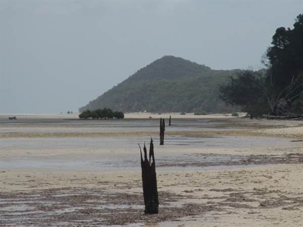 Mulgumpin (Moreton Island) (14/05/2009)