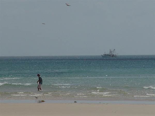 Mulgumpin (Moreton Island) (14/05/2009)