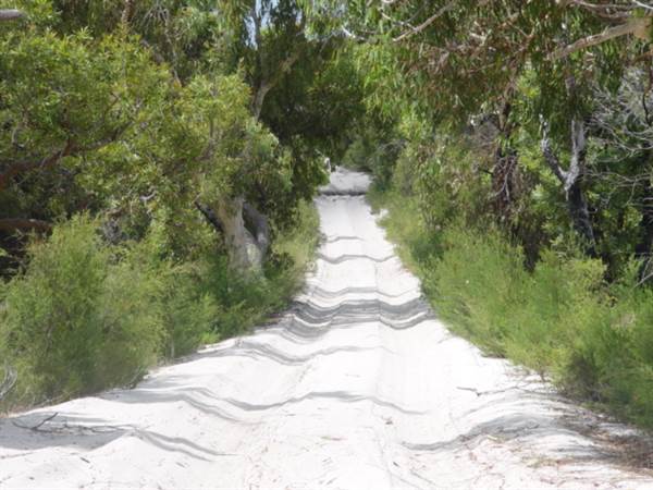 Mulgumpin (Moreton Island) (14/05/2009)