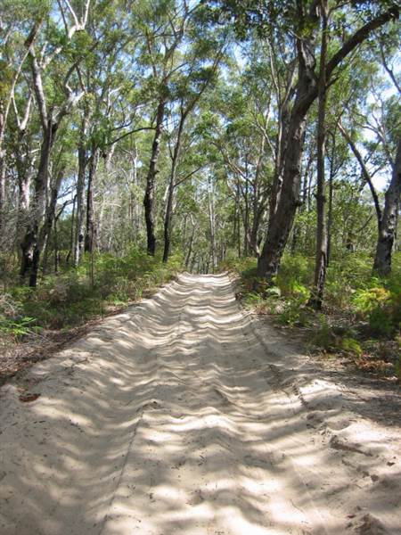 Mulgumpin (Moreton Island) (14/05/2009)