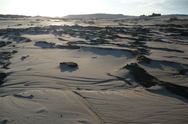 Mulgumpin (Moreton Island) (14/05/2009)