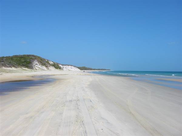 Mulgumpin (Moreton Island) (14/05/2009)