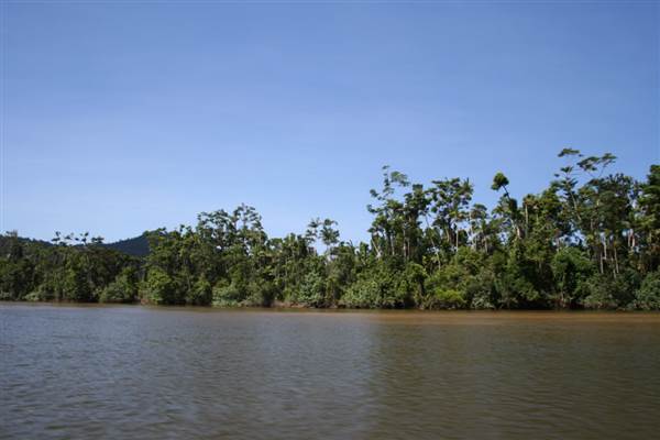 Mulgrave River (Cairns Region) (25/09/2007)