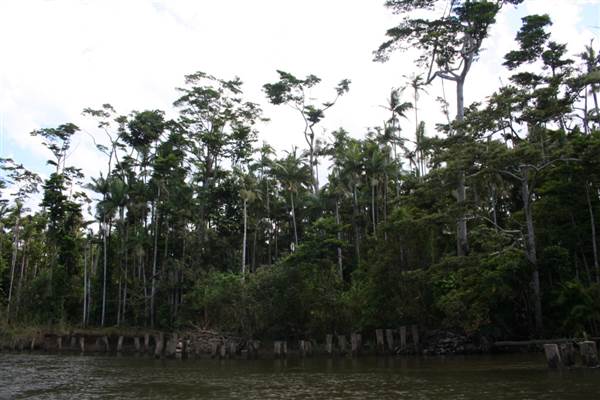 Mulgrave River (Cairns Region) (25/09/2007)