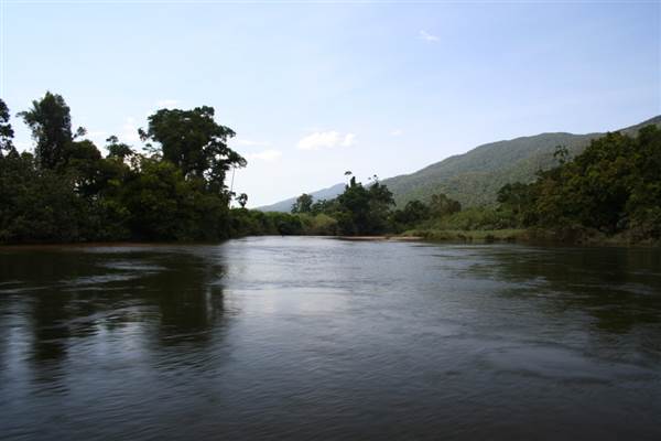 Mulgrave River (Cairns Region) (25/09/2007)