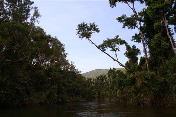 Mulgrave River (Cairns Region) (25/09/2007)