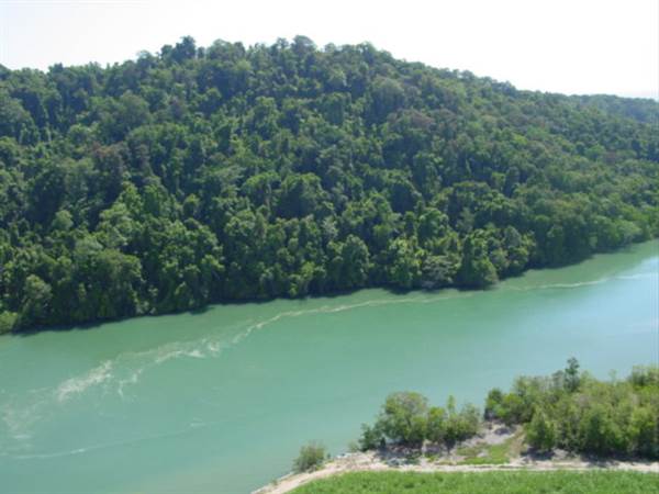 Mulgrave River (Cairns Region) (25/09/2007)