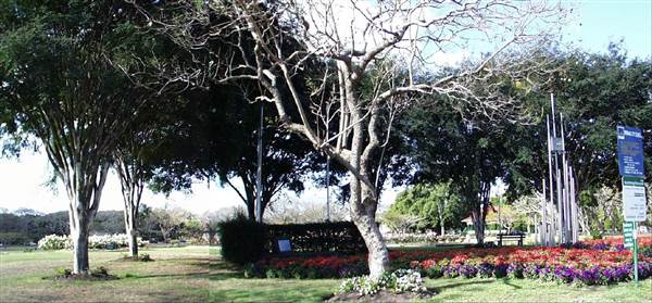 New Farm Park (12/11/2013)