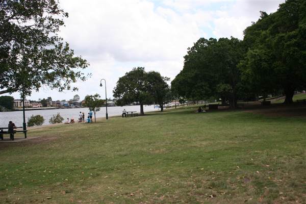 New Farm Park (12/11/2013)