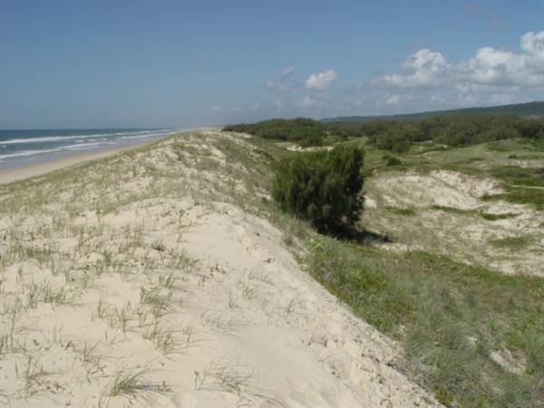 Minjeeribah (North Stradbroke Island) - Overview (29/01/2009)