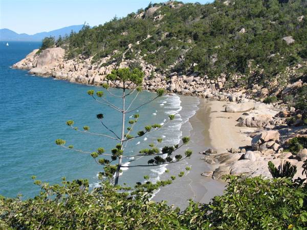 Picnic Bay (Magnetic Island) (8/10/2007)