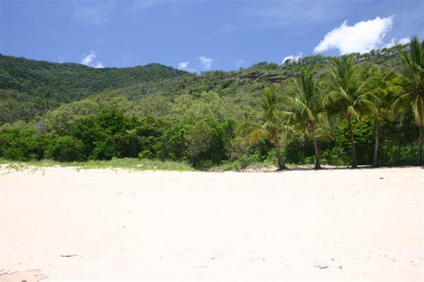 North Palm Cove to Ellis Beach (1/10/2007)