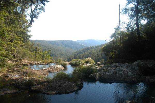Purling Brook Falls - Springbrook National Park (27/07/2009)