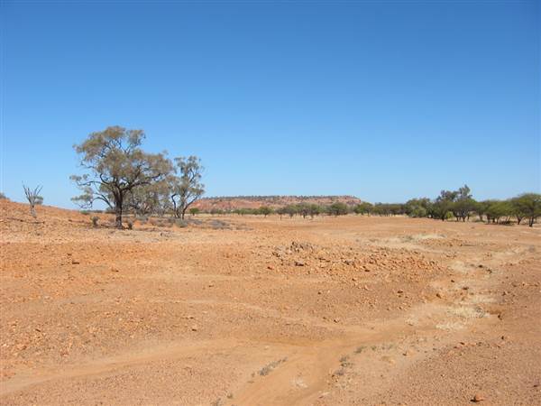 Rangelands Station (14/10/2005)
