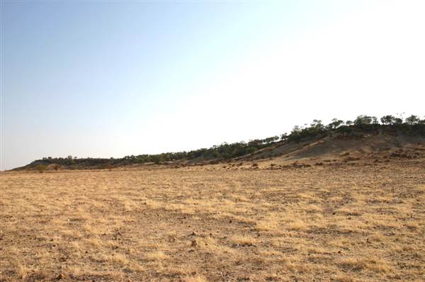 Rangelands Station (14/10/2005)