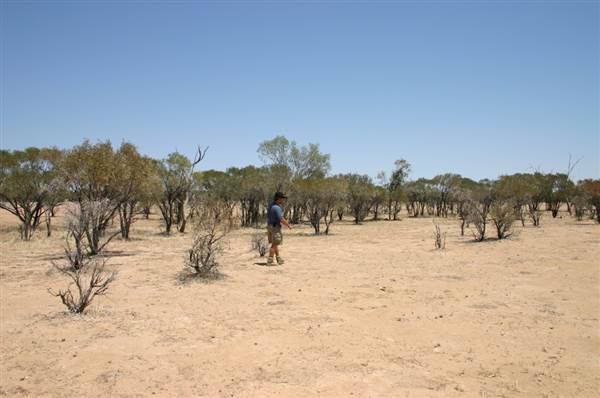 Rangelands Station (14/10/2005)