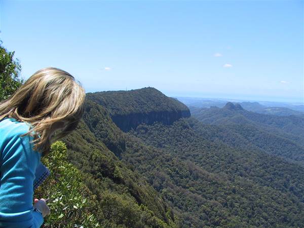 Springbrook National Park (26/09/2007)