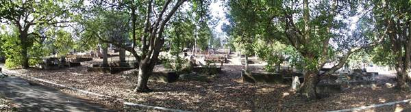 Toowong Cemetery (14/02/2005)
