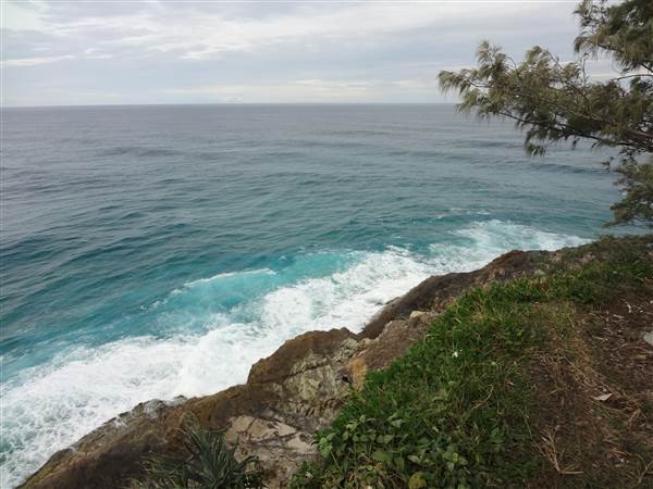 Gorge Walk, Point Lookout (3/02/2014)
