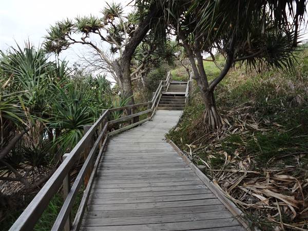 Gorge Walk, Point Lookout (3/02/2014)